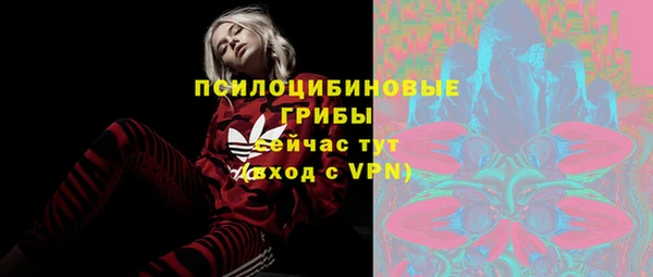 СК Билибино