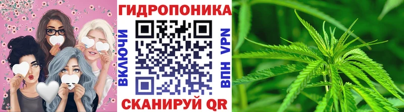 Каннабис сатива  купить закладку  Волгореченск 
